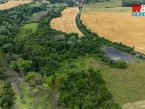 Prodej louky, Chabařovice - Roudníky, 46243 m2