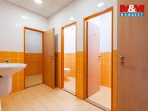 Pronájem obchodního prostoru, Žďár nad Sázavou - Žďár nad Sázavou 1, Brněnská, 1224 m2