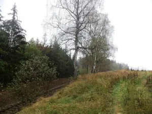 Prodej pozemku, Peč - Urbaneč, 7060 m2