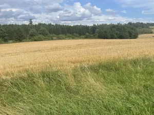 Prodej pole, Krásněves, 12 m2