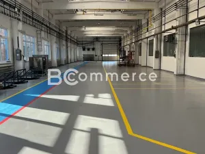 Pronájem skladu, Brno, Vídeňská, 2960 m2