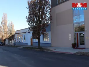 Prodej obchodního prostoru, Mělník, Krombholcova, 300 m2