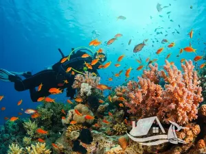 Prodej bytu 2+kk, Pattaya, Thajsko, 52 m2