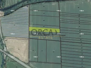 Prodej podílu pole, Hustopeče nad Bečvou, 1685 m2