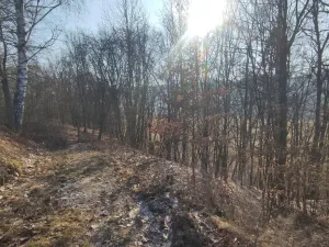 Prodej pozemku, Nemile, 705 m2