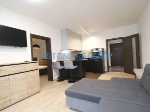 Pronájem bytu 2+kk, Praha - Žižkov, Olšanská, 59 m2