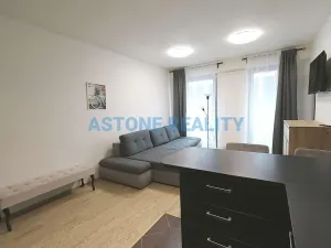 Pronájem bytu 2+kk, Praha - Žižkov, Olšanská, 59 m2