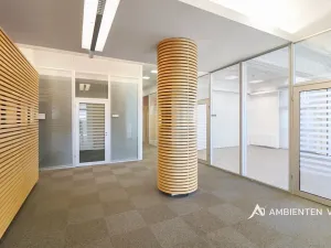 Pronájem kanceláře, Brno, 248 m2