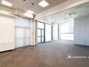 Pronájem kanceláře, Brno, 248 m2