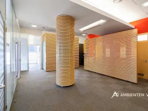 Pronájem kanceláře, Brno, 248 m2