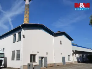 Prodej výrobních prostor, Miletín, Lhotova, 22000 m2