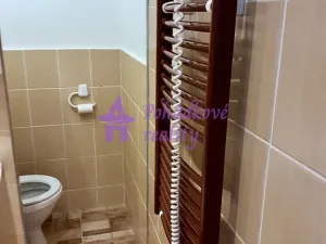 Pronájem bytu 1+1, Olomouc - Nová Ulice, Hraniční, 35 m2