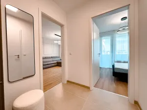 Pronájem bytu 2+kk, Praha - Žižkov, Olgy Havlové, 52 m2