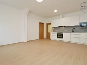 Pronájem bytu 3+kk, Plzeň, Goethova, 62 m2