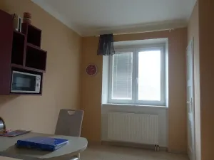 Pronájem bytu 1+1, Brno, Slatinská, 48 m2