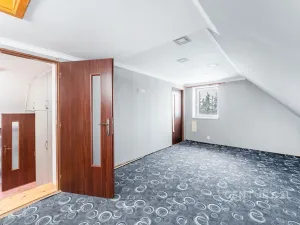 Prodej rodinného domu, Droužkovice, J. Švermy, 229 m2