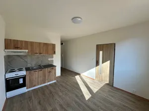 Pronájem bytu 1+1, Děčín, Na Pěšině, 36 m2