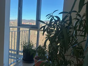 Pronájem bytu 1+kk, Liberec - Liberec VI-Rochlice, Hedvábná, 54 m2