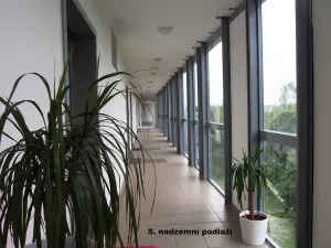 Pronájem bytu 1+kk, Liberec - Liberec VI-Rochlice, Hedvábná, 54 m2