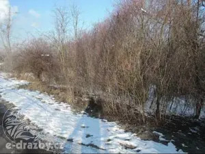 Dražba pozemku, Světec, 13949 m2