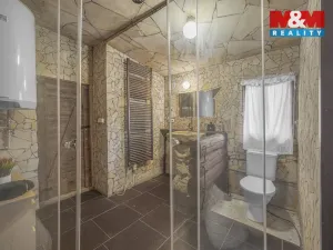 Prodej chalupy, Dobruška - Spáleniště, 134 m2