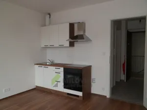 Pronájem bytu 1+kk, Milovice, Armádní, 27 m2