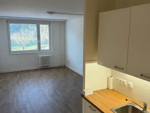 Pronájem bytu 2+kk, Nové Strašecí, Zahradní, 43 m2