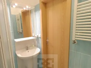 Pronájem bytu 1+kk, České Budějovice, Lipenská, 33 m2