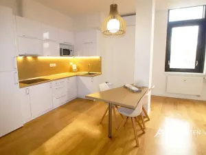Pronájem bytu 1+kk, Brno, Kobližná, 54 m2
