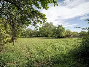 Prodej rodinného domu, Jankovice, 170 m2