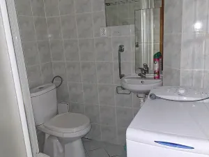 Pronájem bytu 1+kk, Praha - Michle, Jihlavská, 24 m2