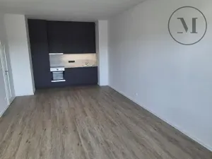 Pronájem bytu 2+kk, České Budějovice, Branišovská, 57 m2