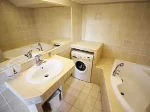 Pronájem bytu 1+kk, Teplice, Alejní, 31 m2