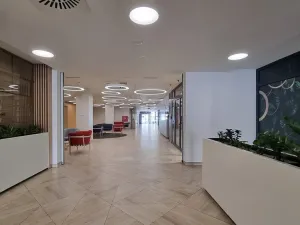 Pronájem obchodního prostoru, Praha, 165 m2