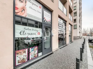 Pronájem bytu 1+kk, Praha - Karlín, U Mlýnského kanálu, 37 m2