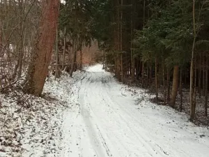Dražba pole, Sušice, 4799 m2