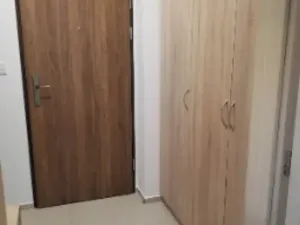 Pronájem bytu 1+kk, Hodonín, 45 m2