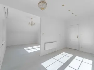 Prodej rodinného domu, Družec, V Zátiší, 289 m2