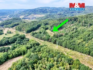 Prodej louky, Málkov, 7660 m2