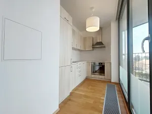 Pronájem bytu 1+kk, Praha - Žižkov, 38 m2
