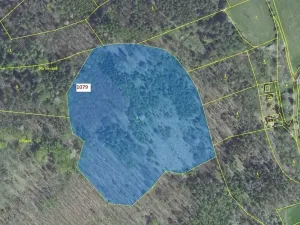 Dražba lesa, Nové Dvory, 32925 m2