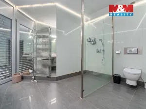 Prodej rodinného domu, Pastviny, 237 m2