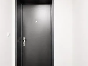 Prodej bytu 1+kk, Praha - Žižkov, Hartigova, 45 m2