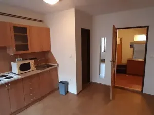 Pronájem bytu 1+kk, Prostějov, Hradební, 35 m2