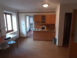 Pronájem bytu 1+kk, Prostějov, Hradební, 35 m2