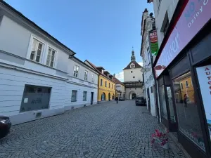 Prodej obchodního prostoru, Pelhřimov, 342 m2