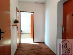 Prodej bytu 2+1, Mladá Boleslav, Jana Palacha, 63 m2