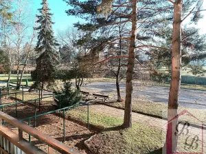 Prodej bytu 2+1, Mladá Boleslav, Jana Palacha, 63 m2