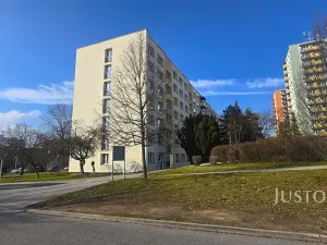 Prodej bytu 2+1, Písek, nábřeží 1. máje, 64 m2