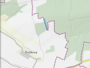 Dražba lesa, Blížejov, 4624 m2